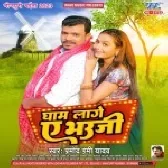 Gham Lage Ae Bhauji